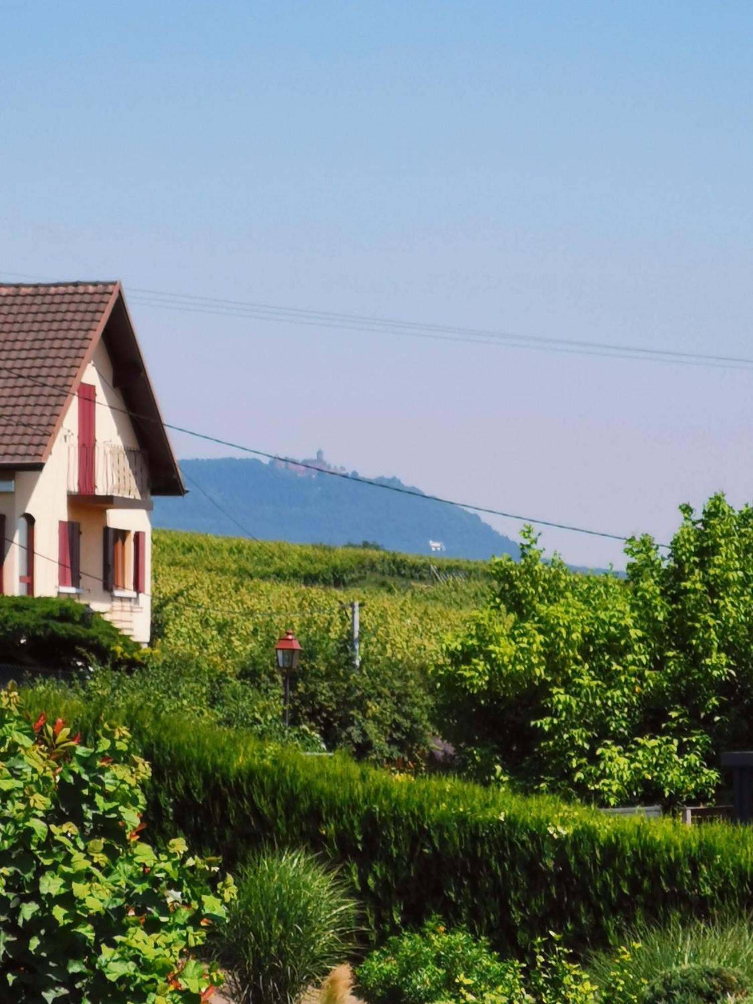 Gites Marschall Jean-Pierre Beblenheim Luaran gambar