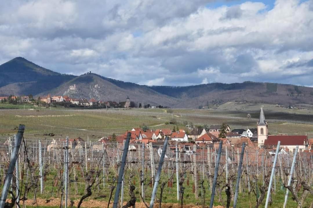 Gites Marschall Jean-Pierre Beblenheim Luaran gambar