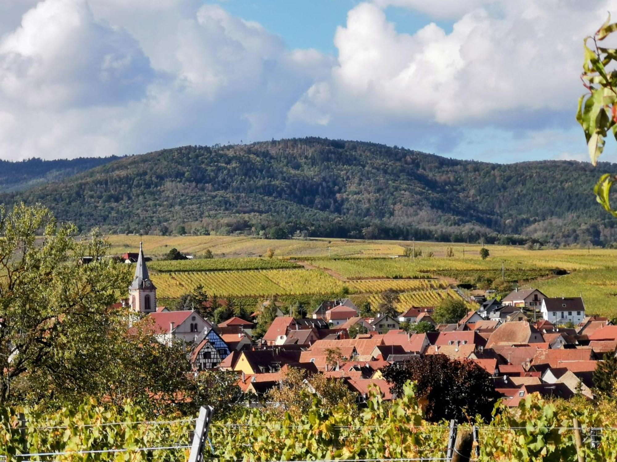 Gites Marschall Jean-Pierre Beblenheim Luaran gambar