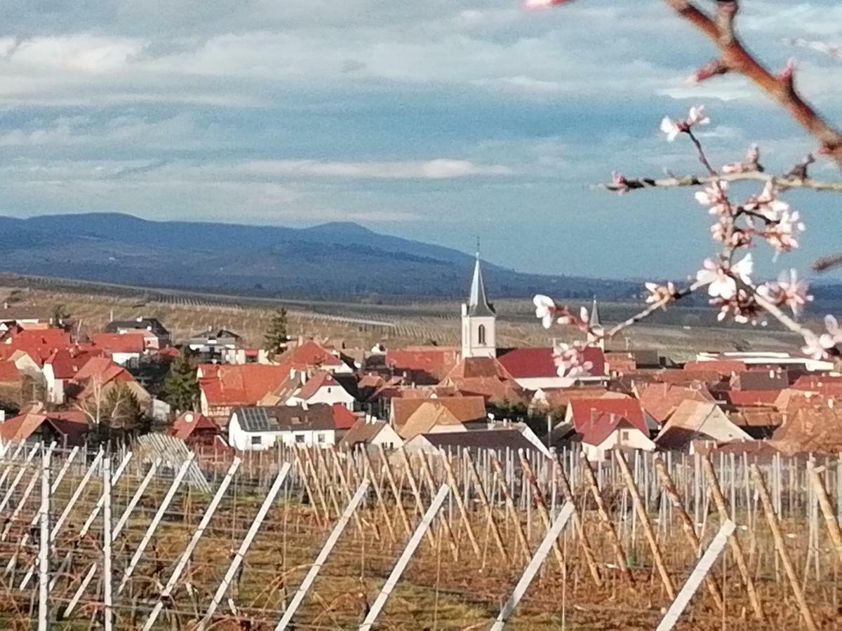 Gites Marschall Jean-Pierre Beblenheim Luaran gambar