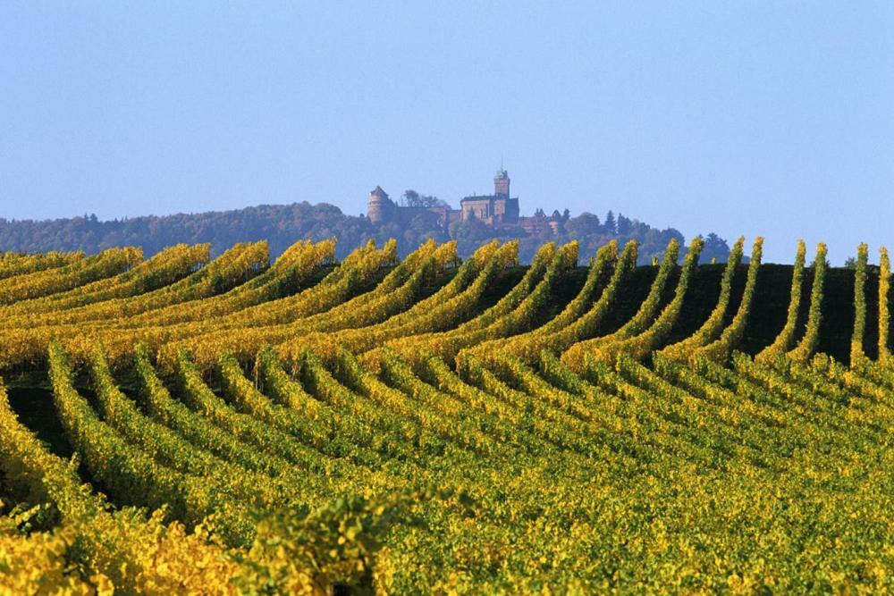 Gites Marschall Jean-Pierre Beblenheim Luaran gambar