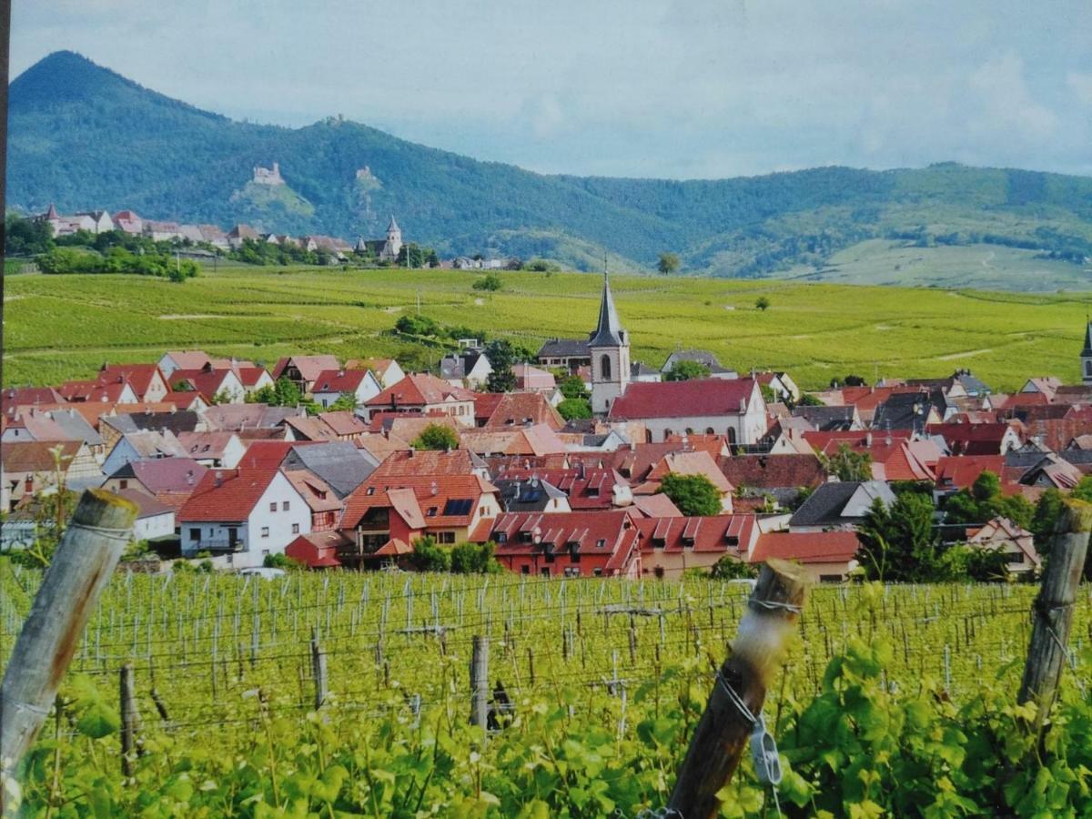 Gites Marschall Jean-Pierre Beblenheim Luaran gambar